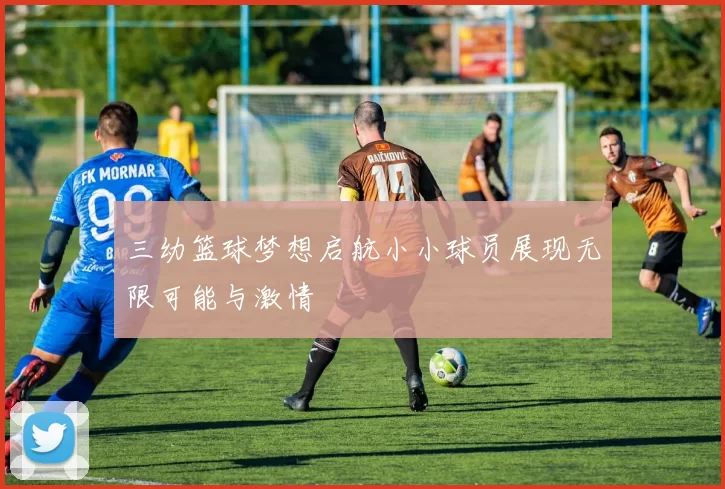 三幼篮球梦想启航小小球员展现无限可能与激情